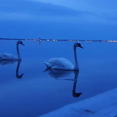 Daire Faltom Swarzewo