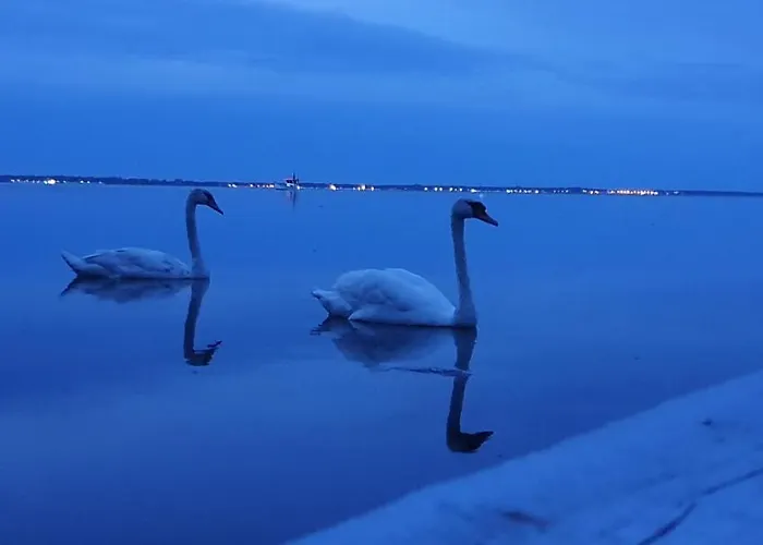 Lägenhet Faltom Swarzewo